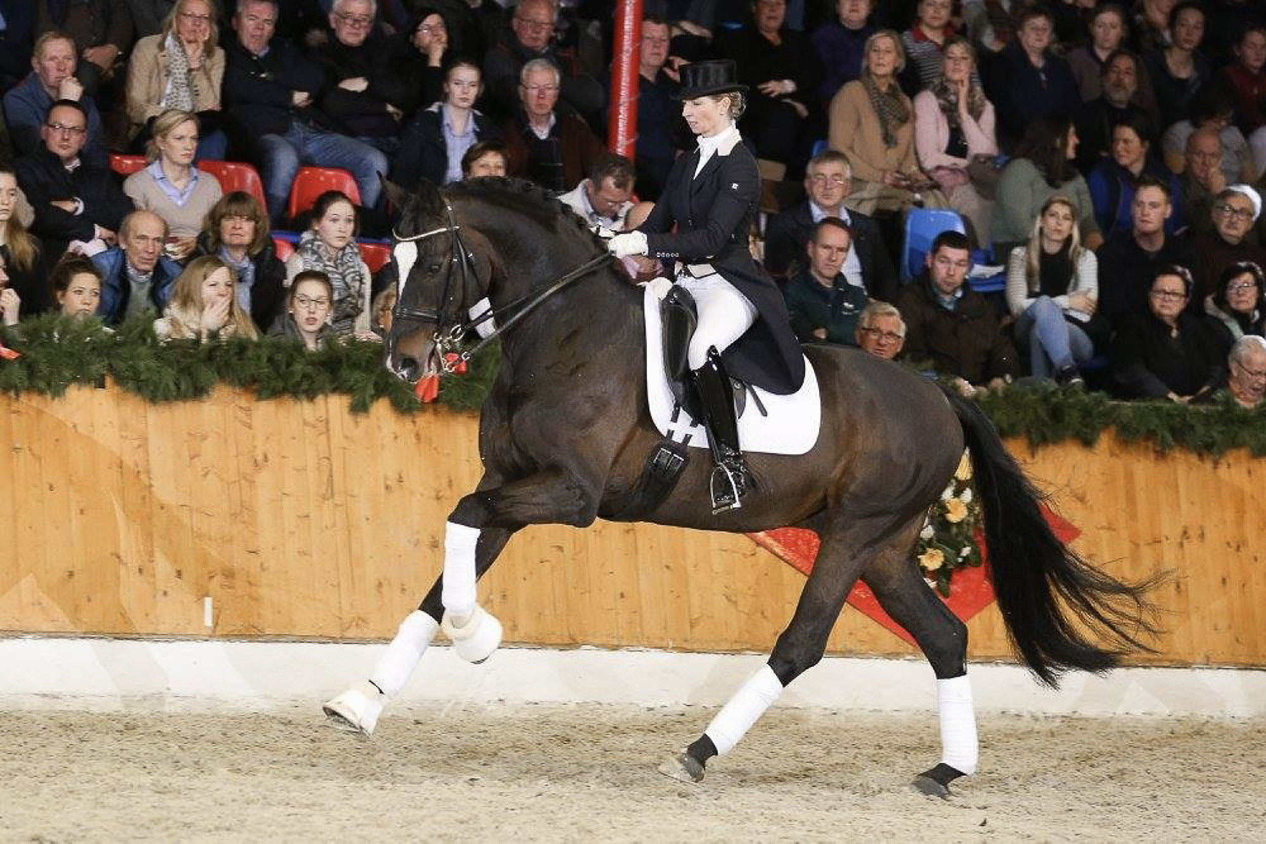 Sir Donnerhall